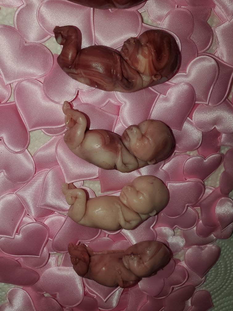 13 week silicone baby fetus memorial baby