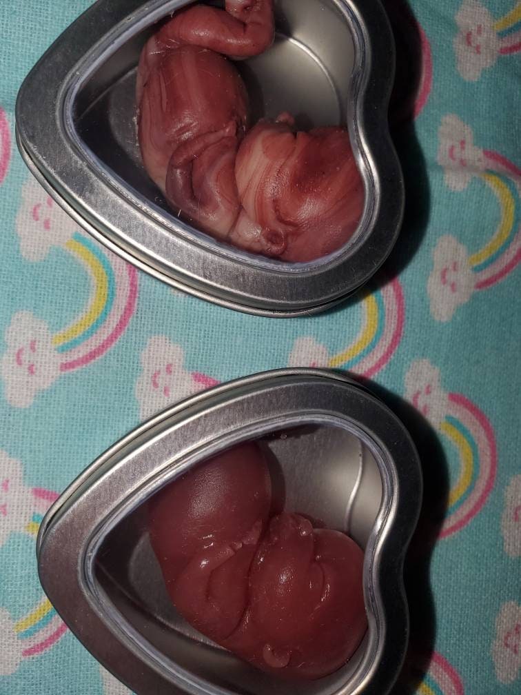 13 week gestational fetus memorial baby tin heart