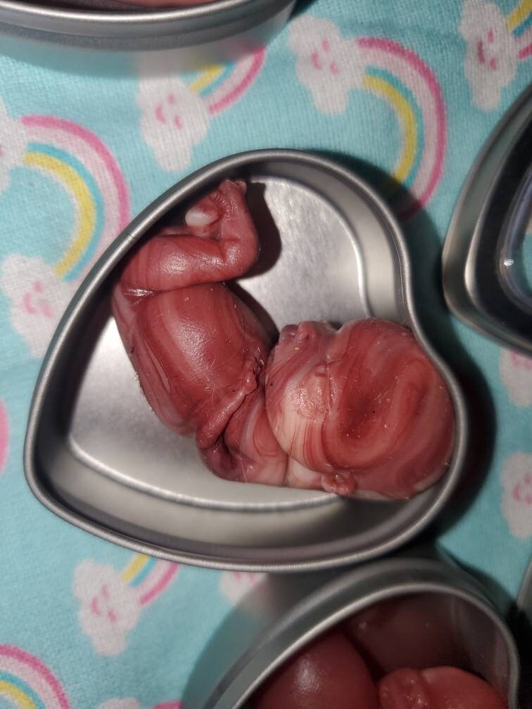 13 week gestational fetus memorial baby tin heart
