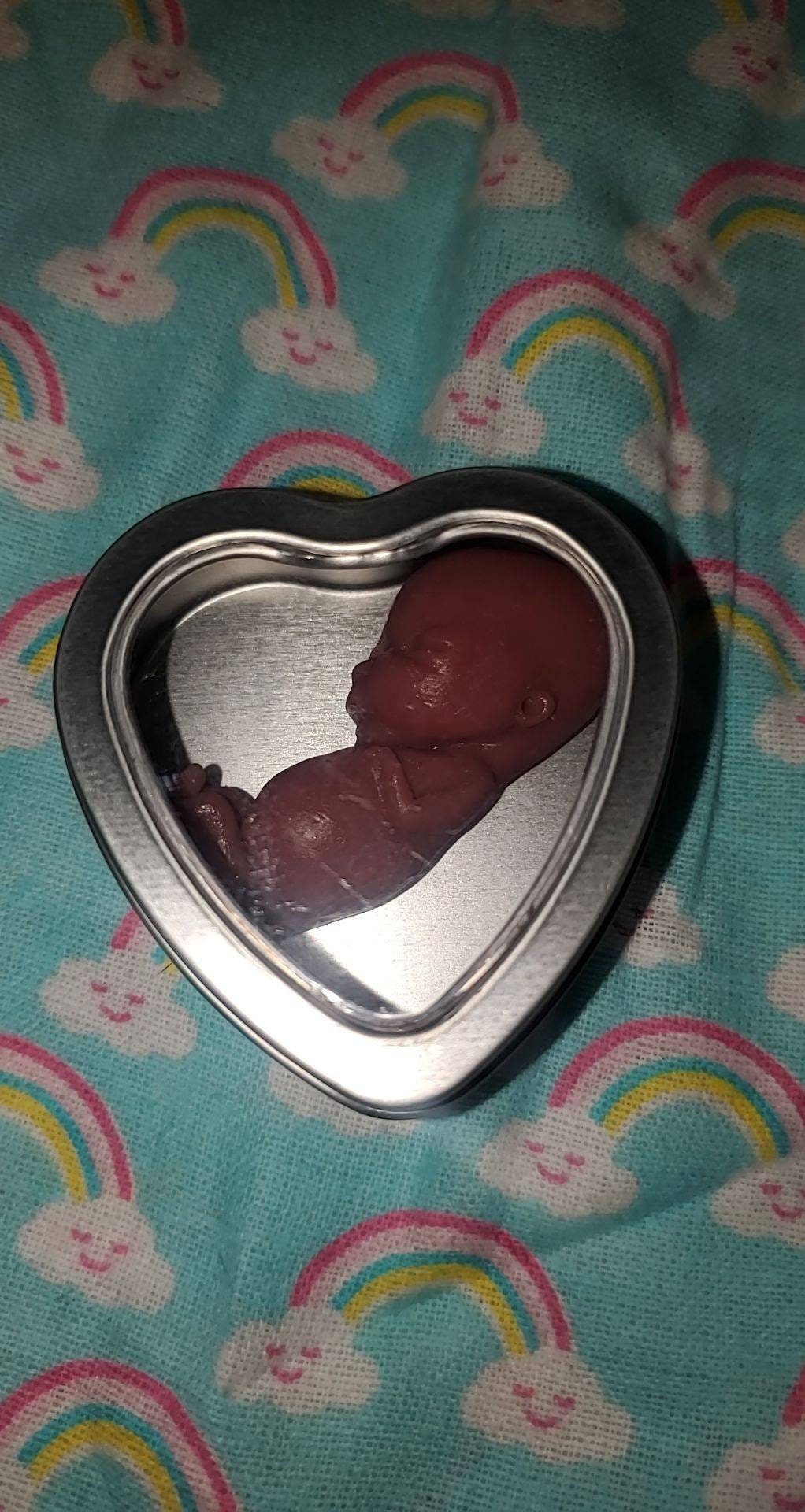 12 week gestation fetus baby memorial baby in tin heart keepsake