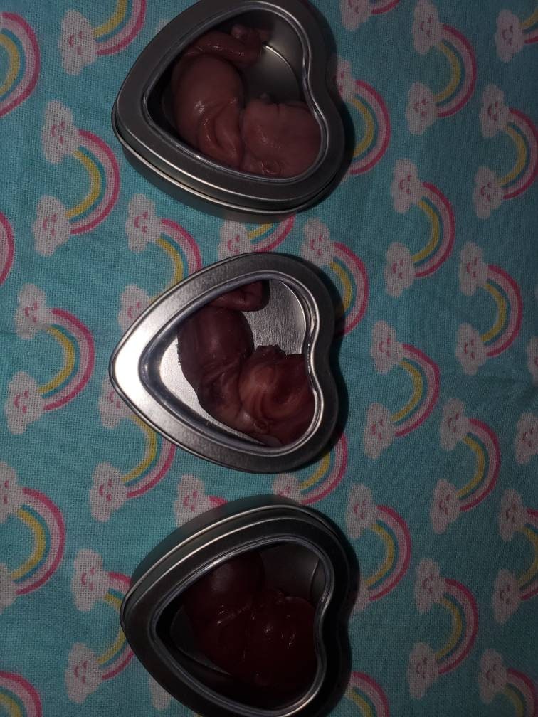 13 week gestational fetus memorial baby tin heart