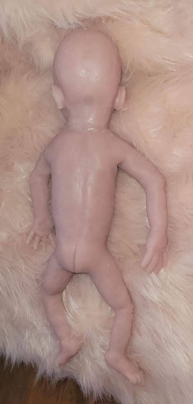 Full Body Silicone Baby Maisy 17.5"