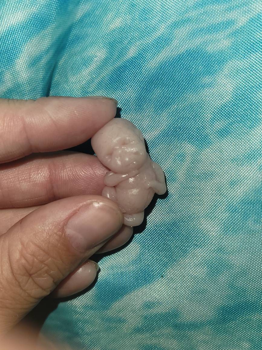 10 week gestational memorial fetus baby silicone keepsake