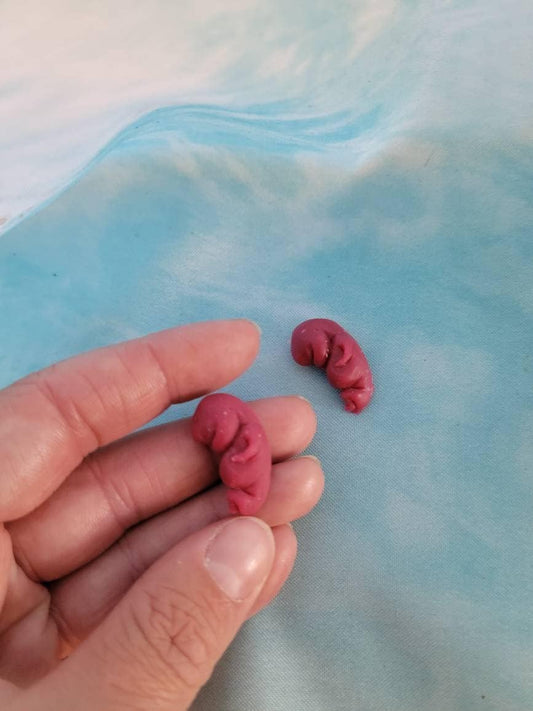 8 week old gestation fetus memorial silicone baby
