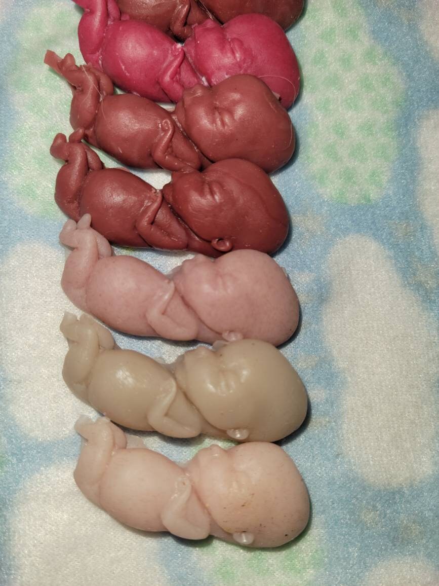 12 week gestational fetus memorial baby keepsake