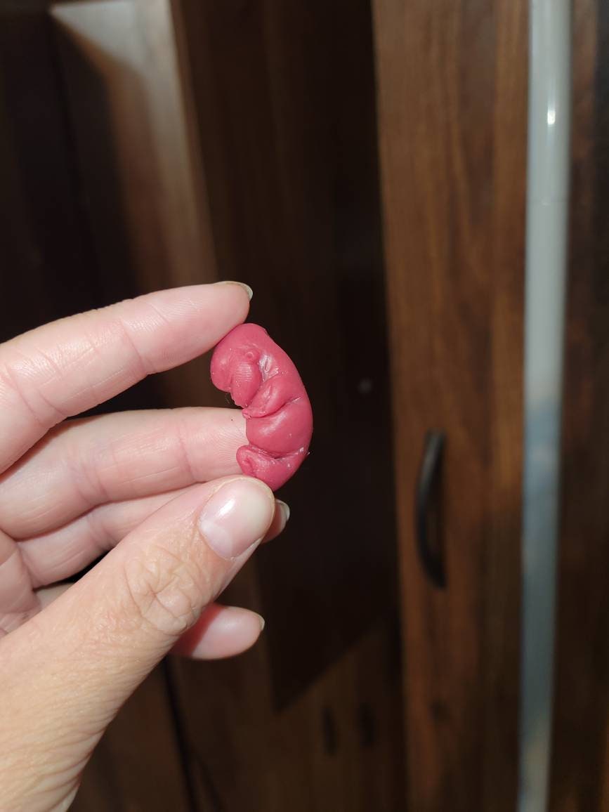 10 week gestational fetus silicone baby keepsake