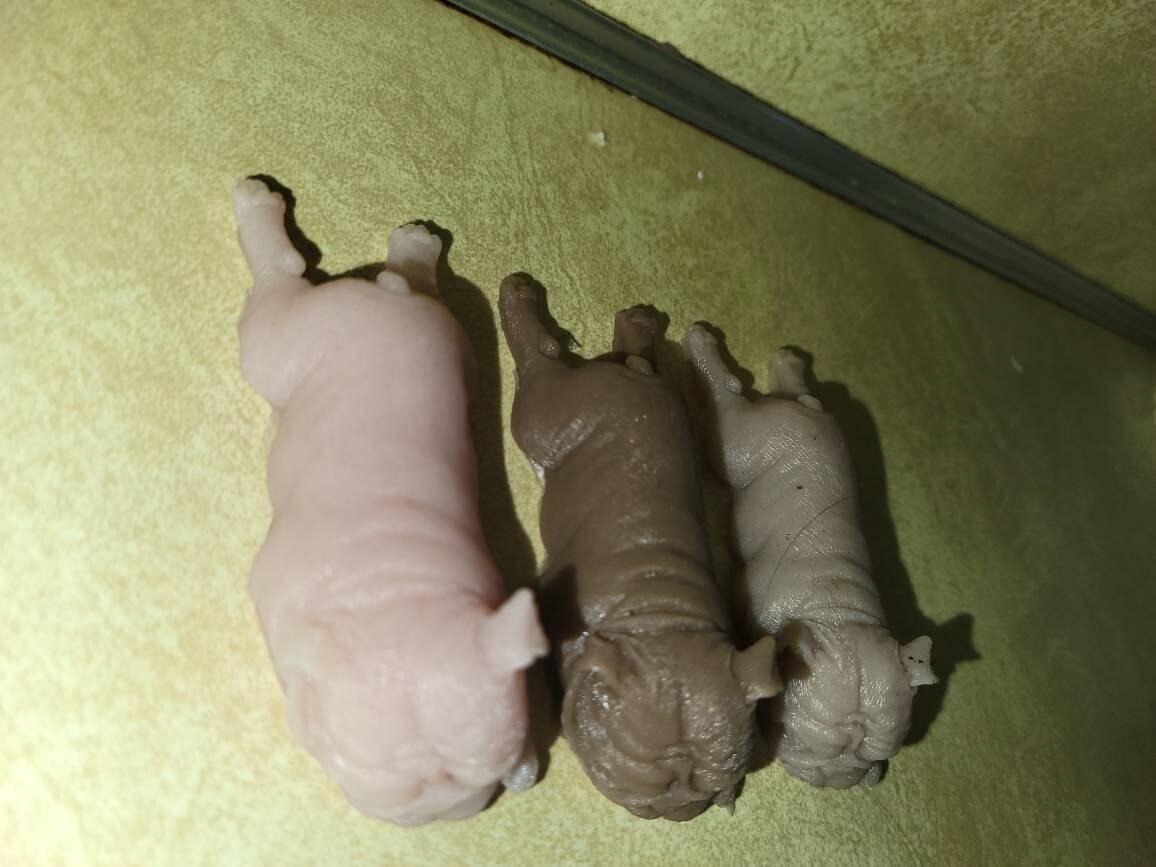 Silicone 3" frenchie puppy dog