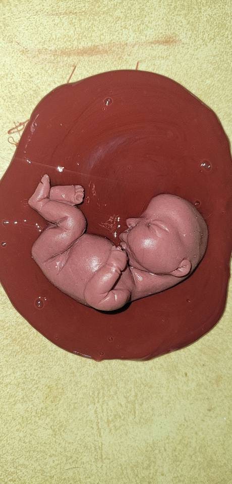 Silicone baby fetus memorial baby inside red womb you choose gestational size