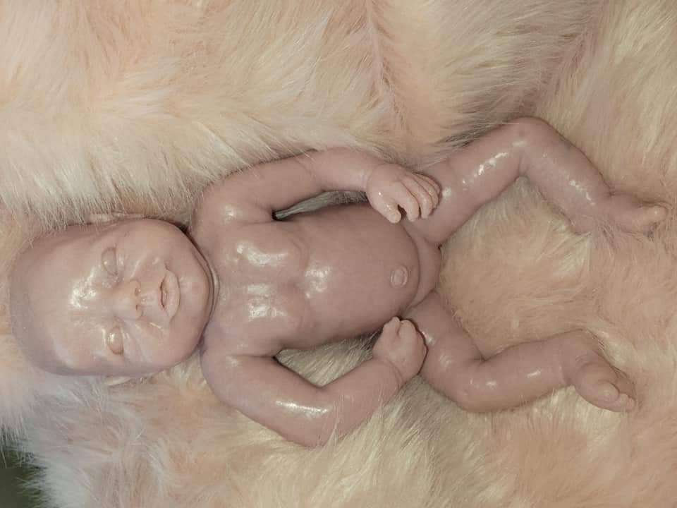 18" 5.5lbs maisy full body silicone baby