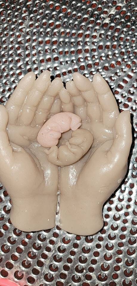 Memorial fetus babies silicone fetus and hands 10 or 11 week gestation
