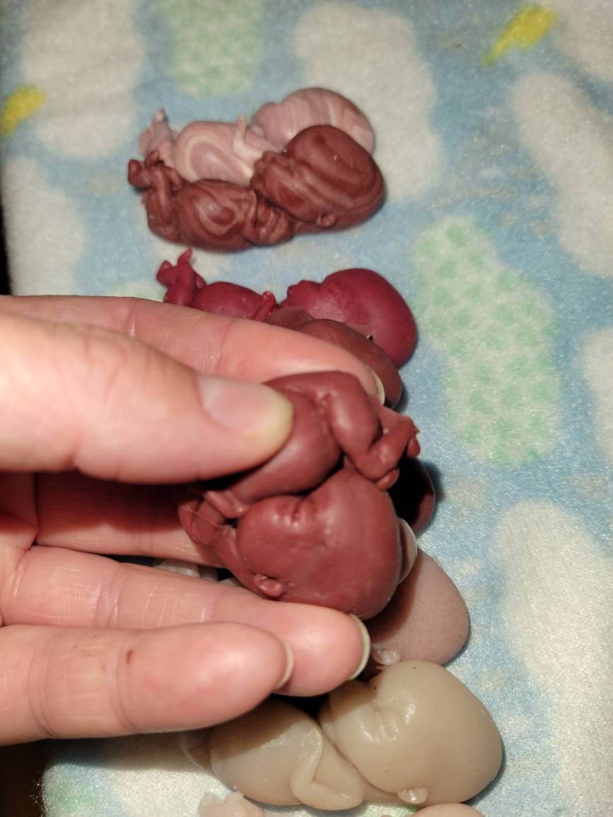 12 week gestational fetus memorial baby keepsake
