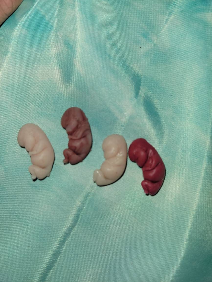 10 week gestational fetus silicone baby keepsake
