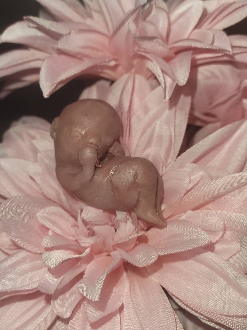 13 week gestational fetus silicone baby