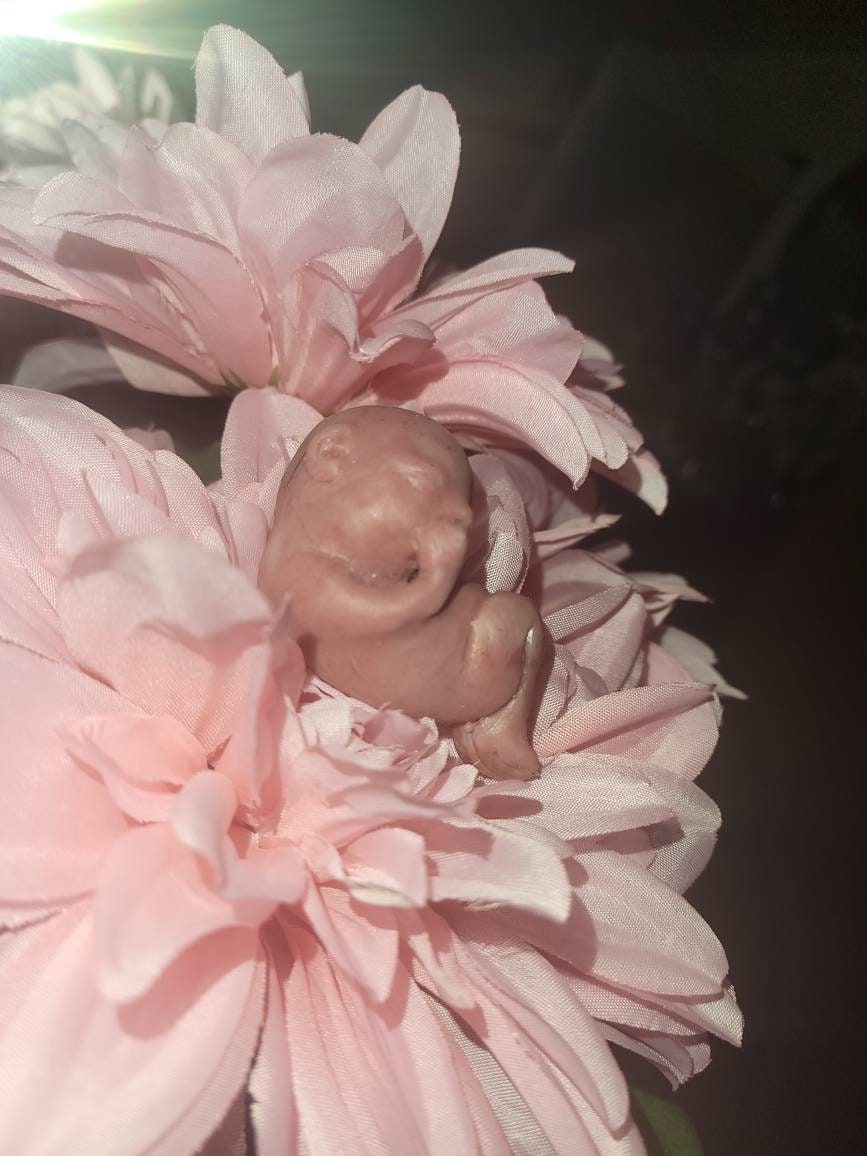 13 week gestational fetus silicone baby