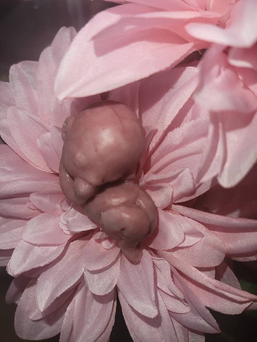 13 week gestational fetus silicone baby
