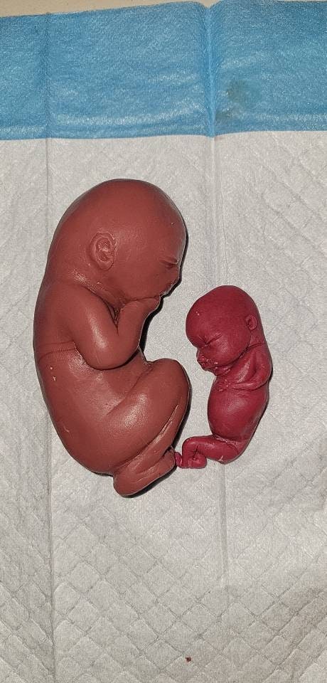 20 week gestational fetus memorial silicone baby