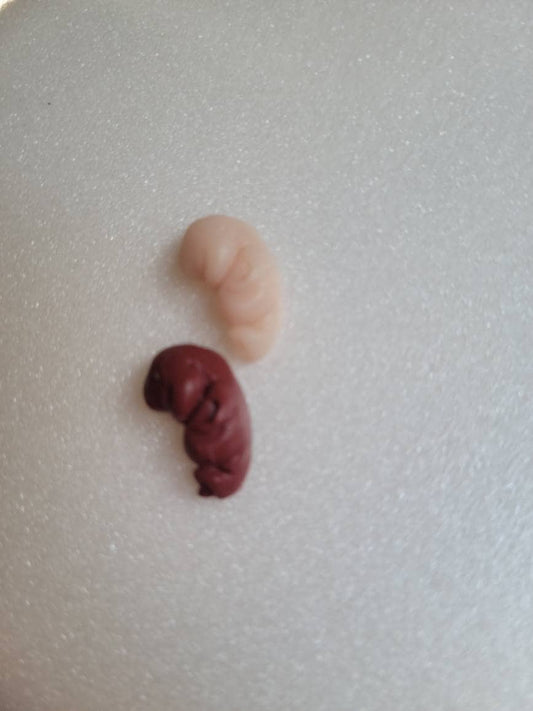 8 week gestational fetus silicone baby