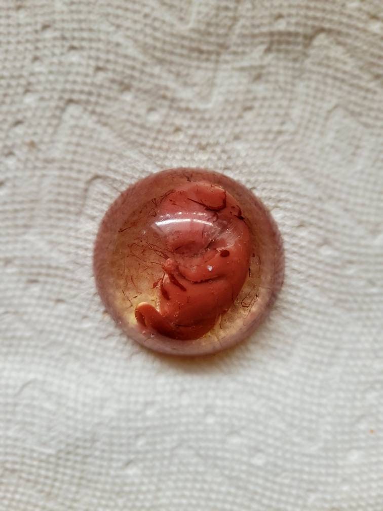 Silicone memorial baby Inside womb