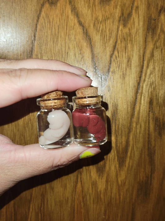 8 week silicone memorial fetus in jar