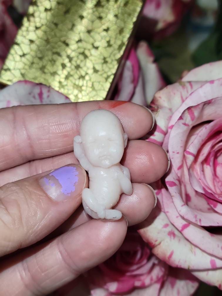 10 week gestational fetus silicone baby stretching