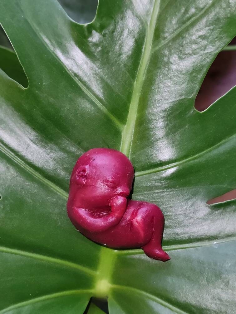 13 week memorial silicone fetus