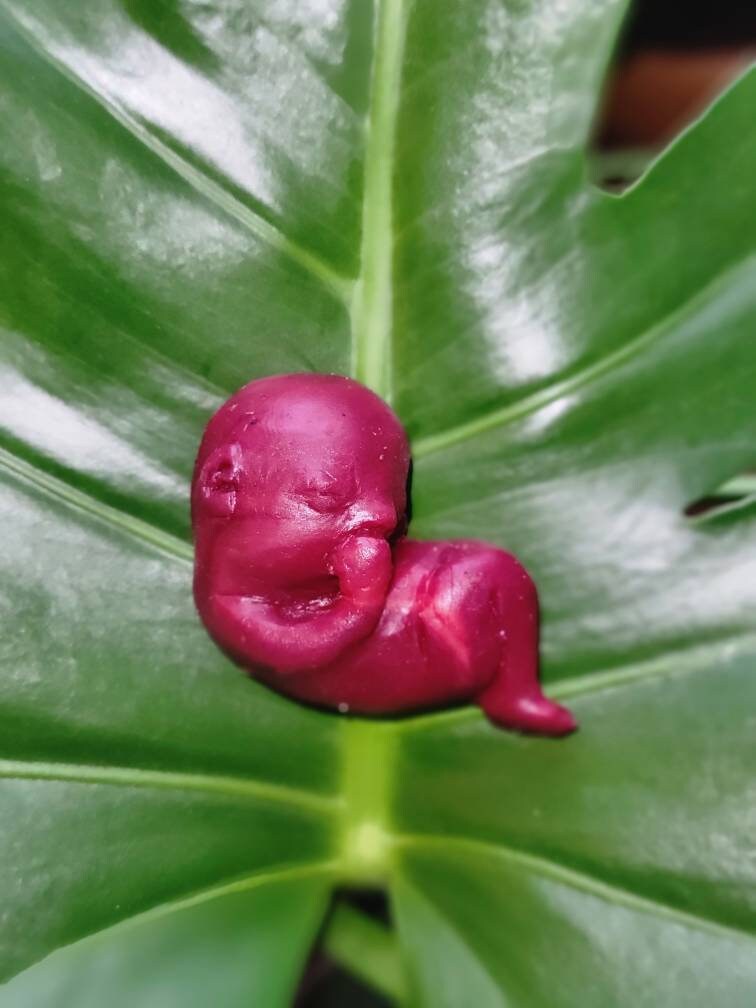 13 week memorial silicone fetus