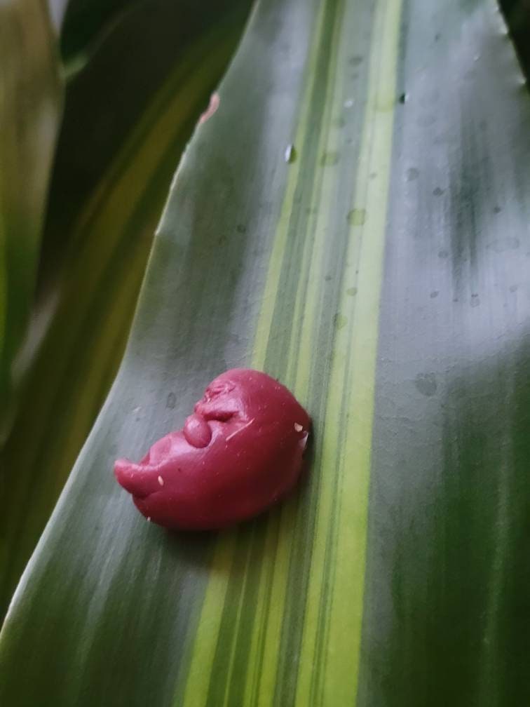 9 week silicone memorial fetus with card