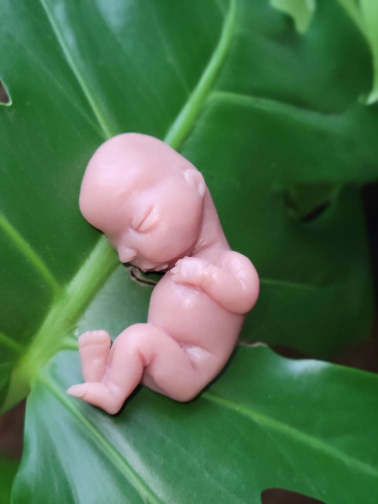15 week memorial fetus silicone baby