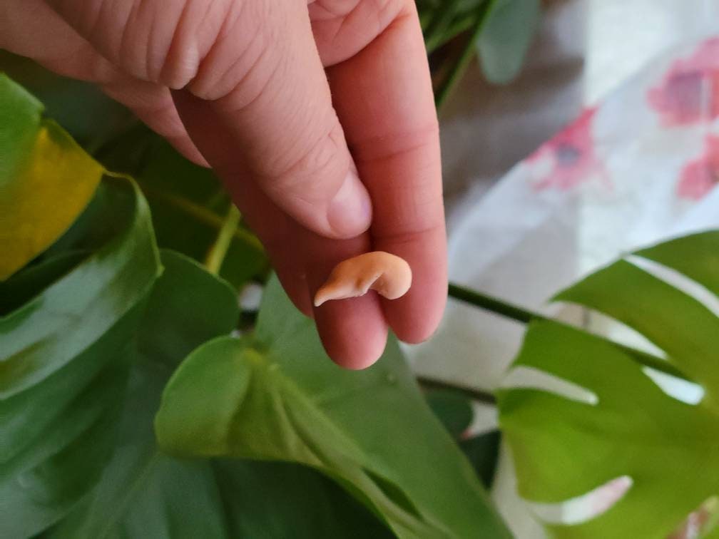 8 week memorial silicone fetus