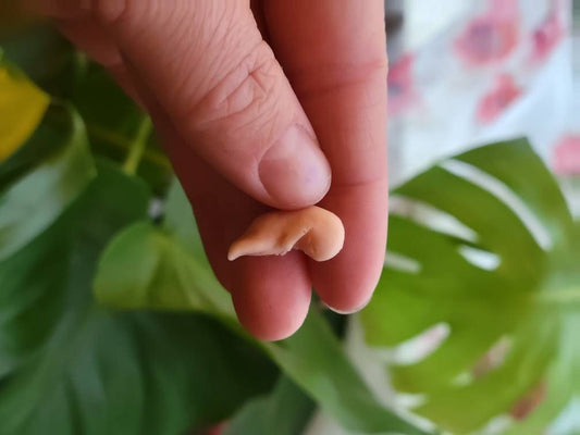 8 week memorial silicone fetus