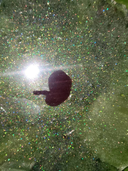 9 week resin fetus in resin glitter