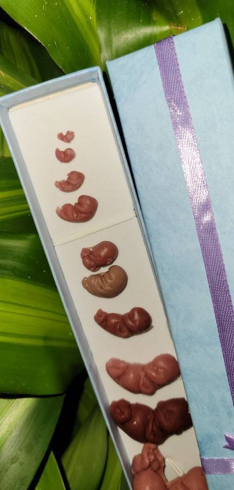 82084f55-0fe2-4dc2-a040-d875025e6962