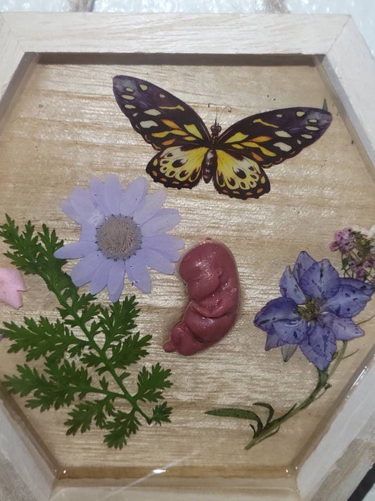 Ready to ship 10 week old silicone fetus in Beautiful wood frame with resin background