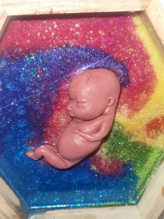 Ready to ship 13 week gestational silicone fetus in Beautiful wood frame with resin RAINBOW background