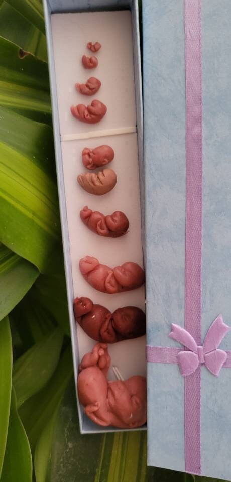 e37be915-deec-4aba-a755-ee4d49e28f0f