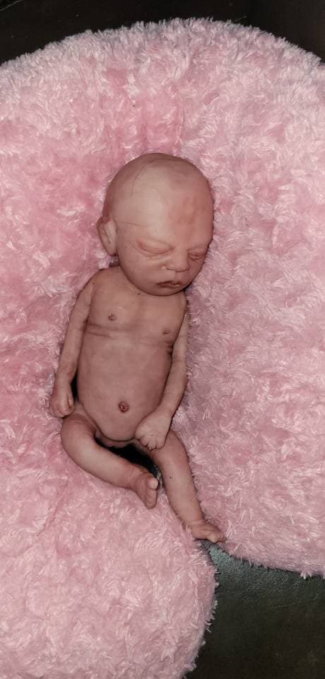 Full Body Silicone baby 13" josie