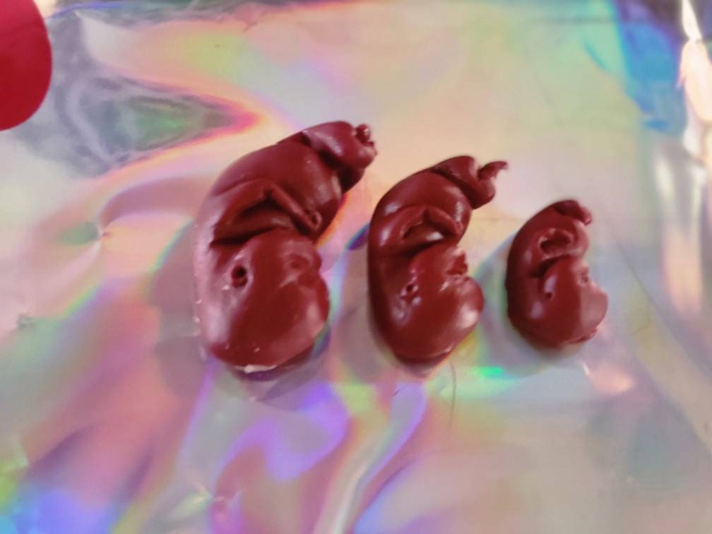 Dark red silicone fetus. You choose gestational sizing