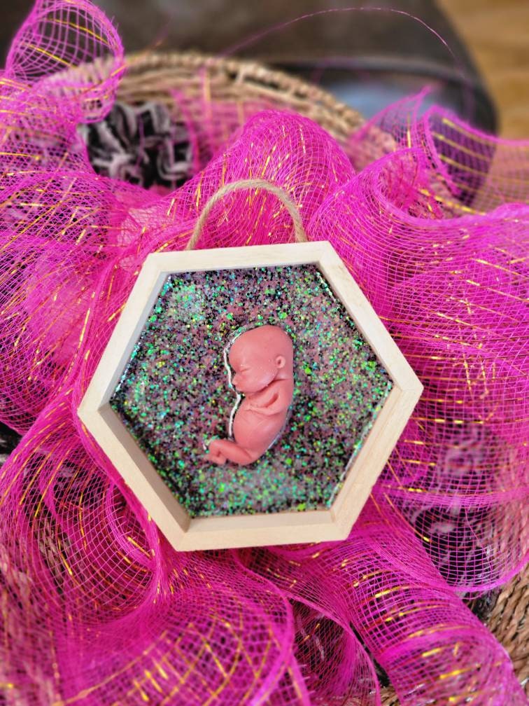 Ready to ship 13 week memorial fetus in resin wood frame