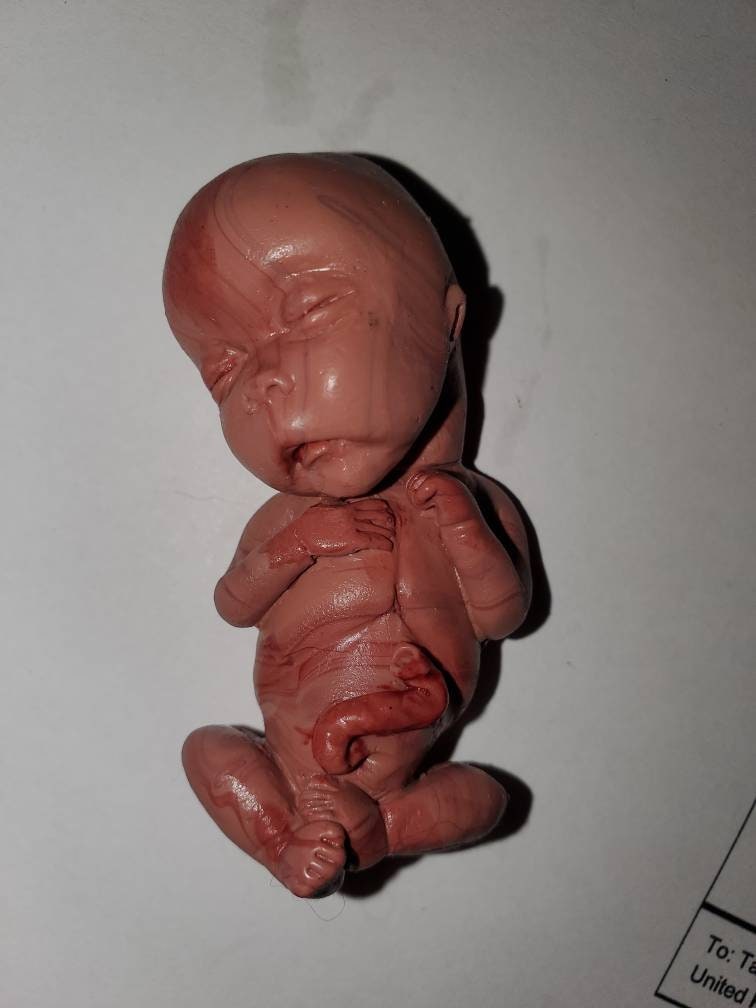 14 week Gestational silicone memorial fetus baby painted PAINTED