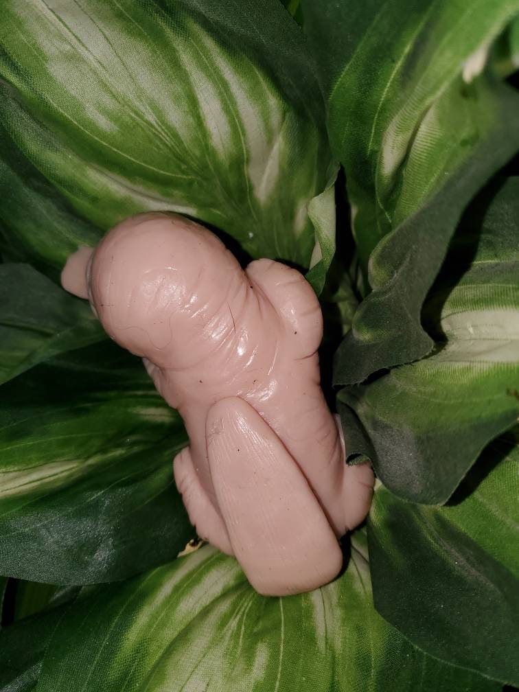 6" silicone Baby platypus squishy animal