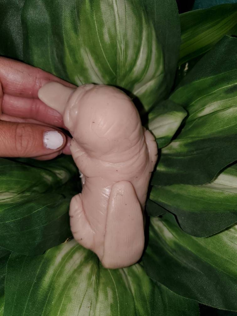 6" silicone Baby platypus squishy animal