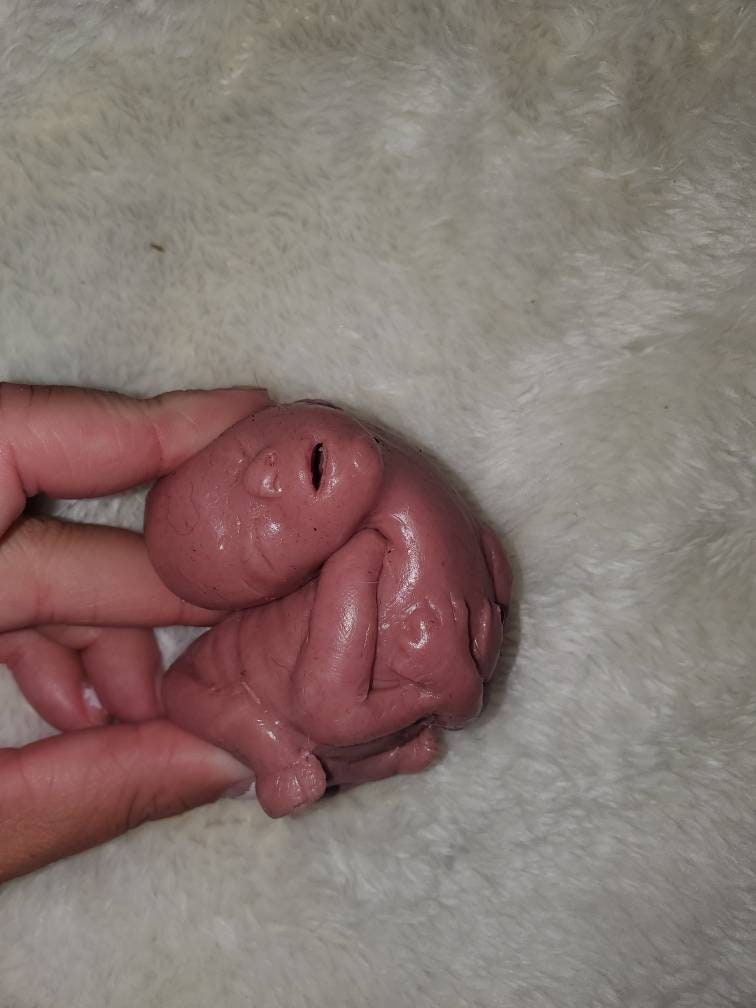 20 week Gestational silicone fetus baby memorial