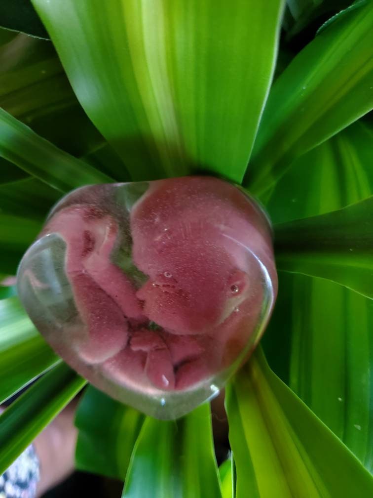 Memorial silicone babies inside resin heart