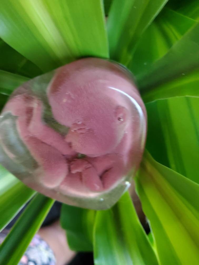 Memorial silicone babies inside resin heart