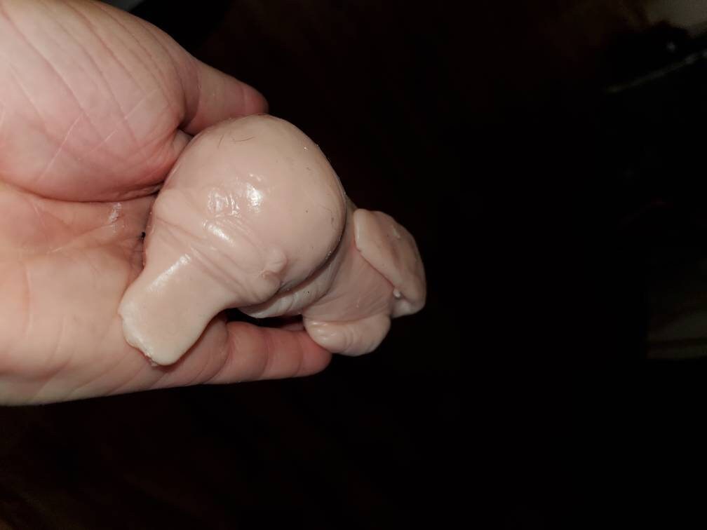 6" silicone Baby platypus squishy animal