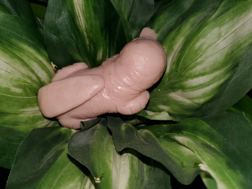 6" silicone Baby platypus squishy animal