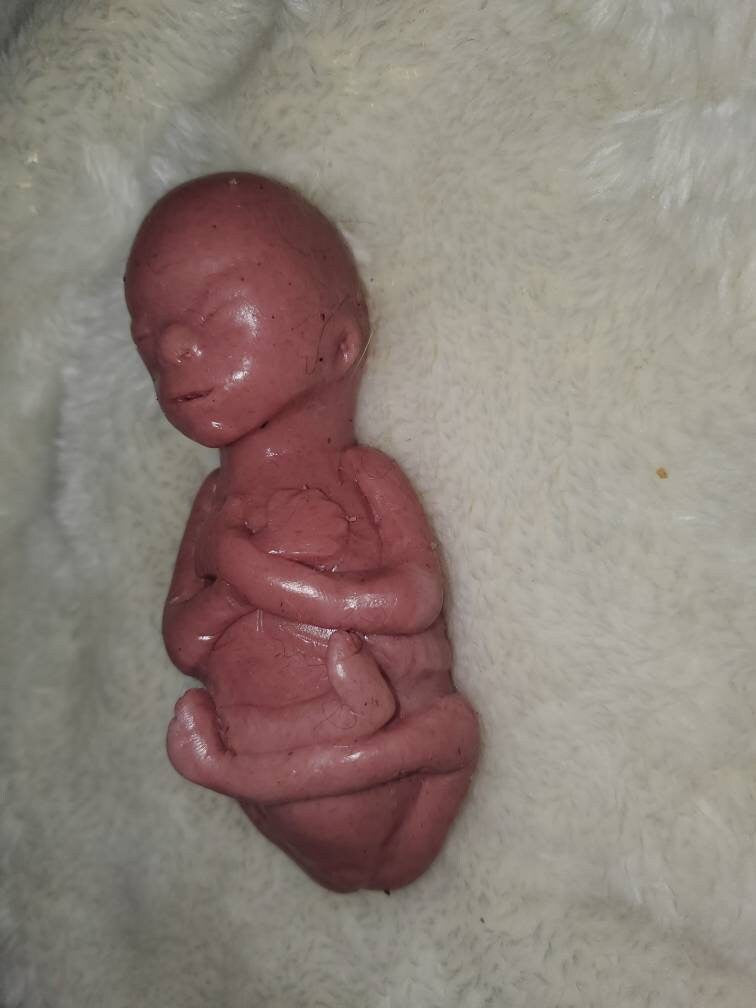 20 week Gestational silicone fetus baby memorial