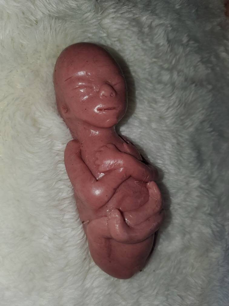 20 week Gestational silicone fetus baby memorial