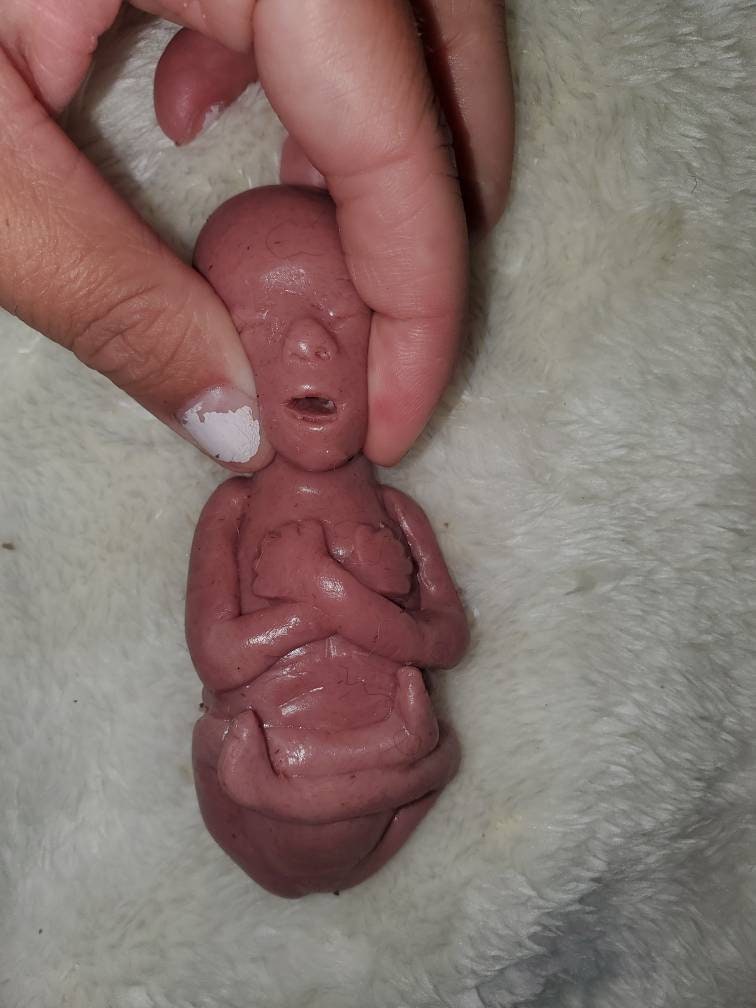 20 week Gestational silicone fetus baby memorial