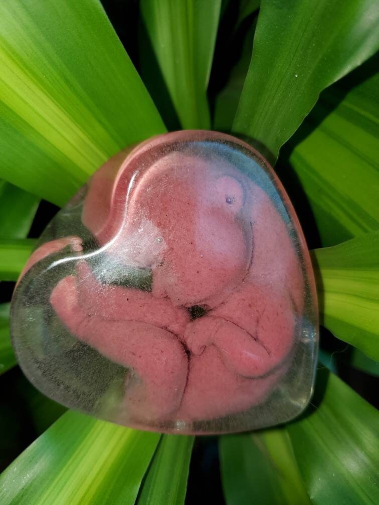 Memorial silicone babies inside resin heart